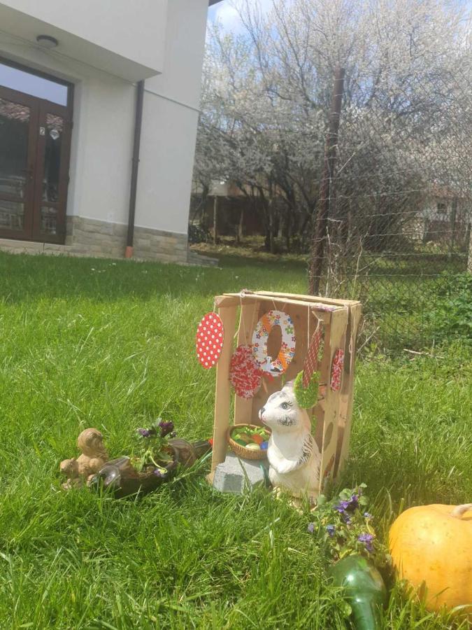 Бадевски Рай-Къща Любов Badevci Kültér fotó